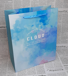 Пакет подарочный 82012 (32х26х12см )