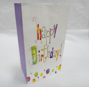 Пакет саше (комплект из 10 шт размер 23Х13Х8 см )