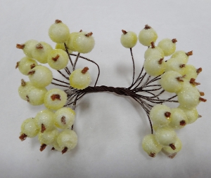 Ягода сахарная 13708 ( 20 веток)